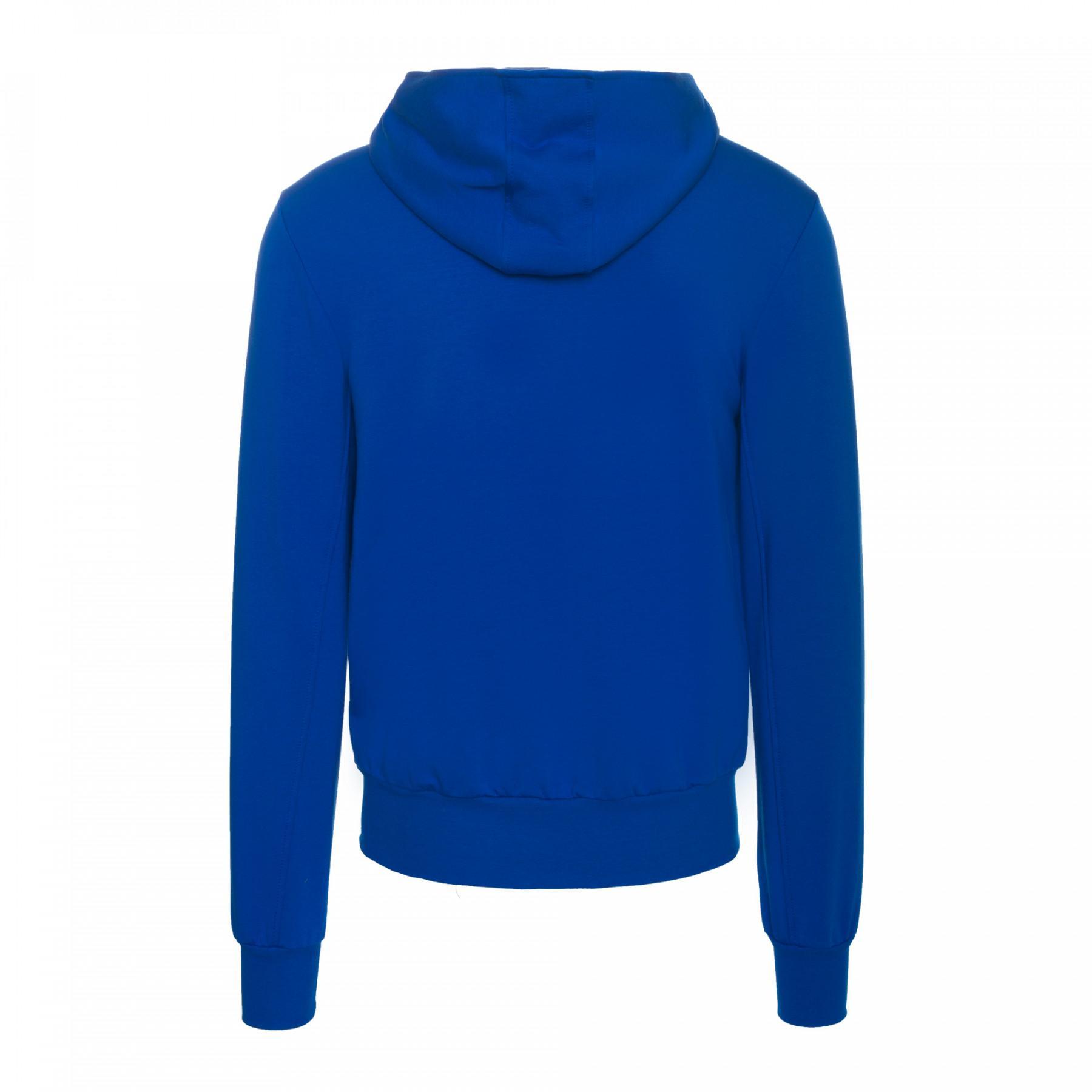 Sweatshirt för barn Errea essential hooded shirt