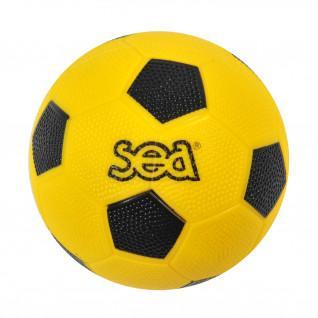 Handboll initiation sporti france Sea