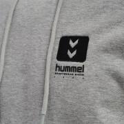 Sweatshirt med huva Hummel hmlLGC graham